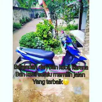 Quotes story WhatsApp vario 110 BebyLook