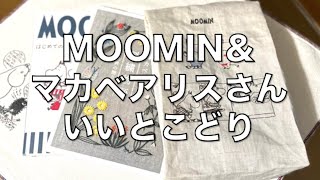 【刺繍】MOOMIN＆マカベアリスさんの『いいとこどり』でペーパーバッグ作ってみた