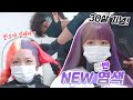 님들이 바꾸래서 바꿨어🦄레드 안녕~보라+회색 반반염색 w.한국의오지훈..(ENG,JP SUB)