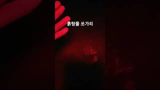 쏘가리낚시 #쏘가리낚시 #쏘가리 #fishing #fish #한탄강 #임진강 #섬진강 #섬강 #쏘가리포인트 #릴리즈