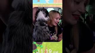 When Your Dog Wants To Be A Streamer Too