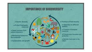 Importance of Biodiversity Video No 769