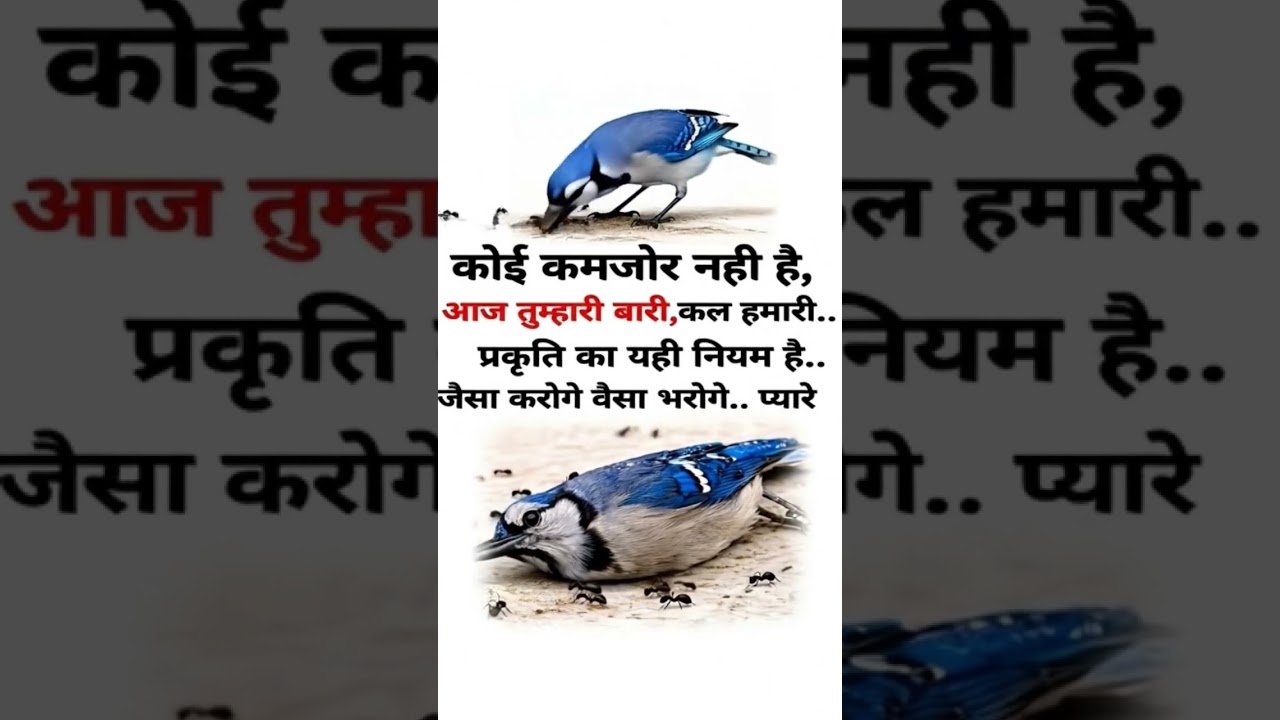 The law of karma is that whatever you do today, returns to you tomorrow.