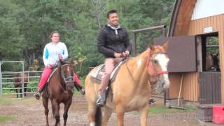 Amri - Feel The World