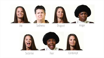 AFFDEX SDK: A Cross-Platform Real-Time Multi-Face Expression Recognition Toolkit