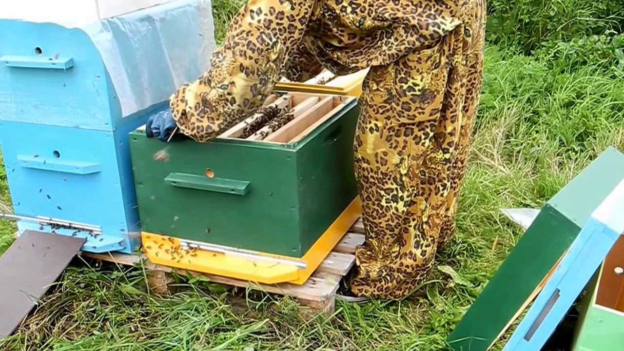 Машина для пчеловодства