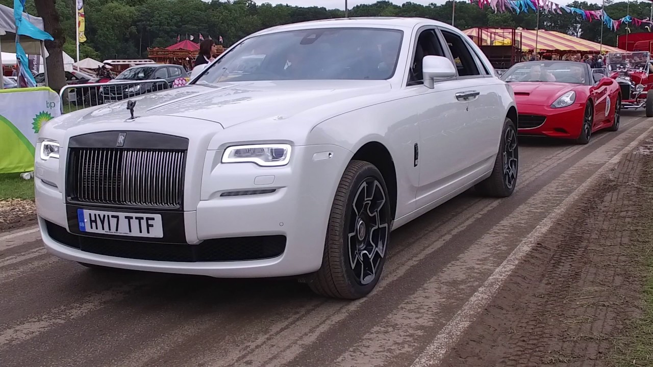 Sporting Bears Dream Rides