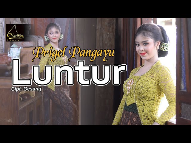 Prigel Pangayu - Luntur (Official Music Video) class=