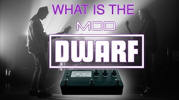 What is the MOD Dwarf?