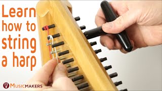 Oh @$&*#!  I broke a harp string!!