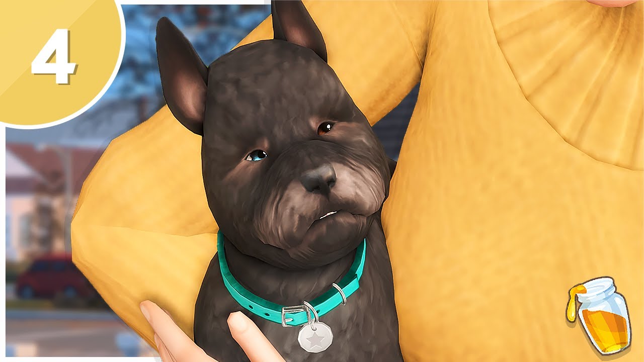 🍯 The Sims 4: Наследие медоварни | Часть 4 (S1) — У НАС ПОЯВИЛСЯ ЩЕНОК 🐶
