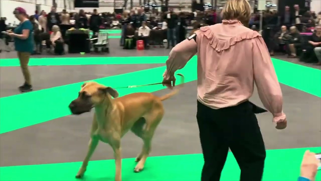 Stora Stockholm på mässan