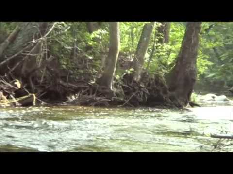 Video: Plūsas upe: raksturojums, fotogrāfijas, atpūta un makšķerēšana