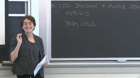 Lecture 4.2: Inheritance and Genetics  — Allele Segregation