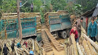 Download Lagu Huge cargo vehicle MP3