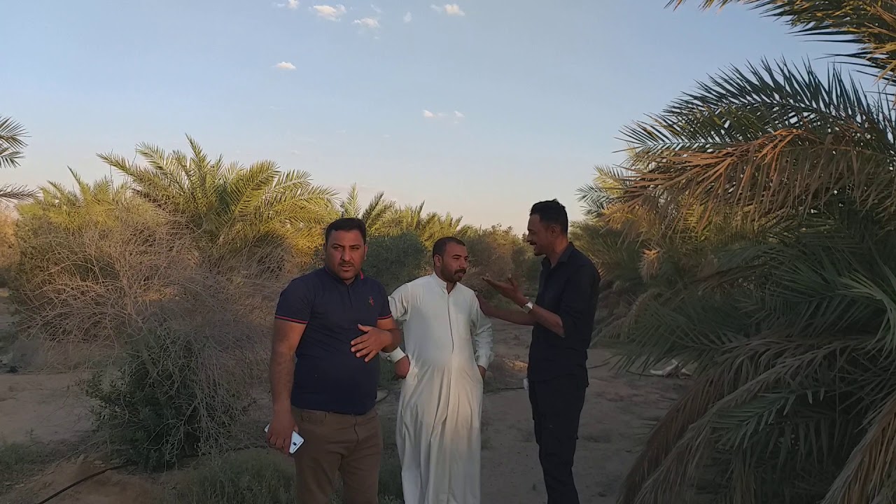 متعب نجفي ورائد شبلاوي قبلت تحدي جديد 2020