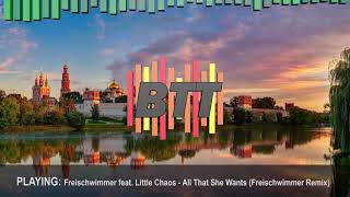 Freischwimmer feat. Little Chaos - All That She Wants (Freischwimmer Remix)