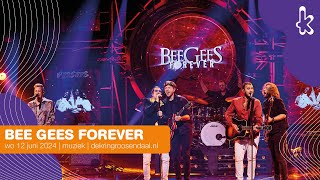 Bee Gees Forever - You should be dancing