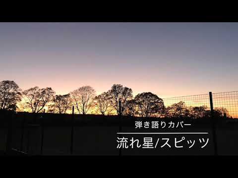 「流れ星」/スピッツ　　弾き語りカバー（映像なし）