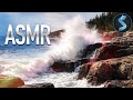 Nature’s Raw Power in Motion | Nature Documentary | Full Movie | Acadia Sights &amp; Sounds