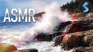 Nature’s Raw Power in Motion | Nature Documentary | Full Movie | Acadia Sights & Sounds