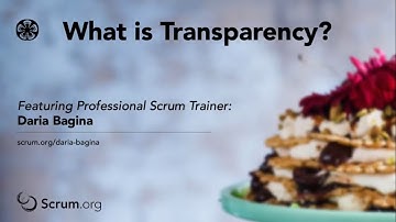 What is Transparency?