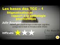 Les bases des thrapies tcc  1 stigmatisation et rapport  la pathologie  julie bourgon