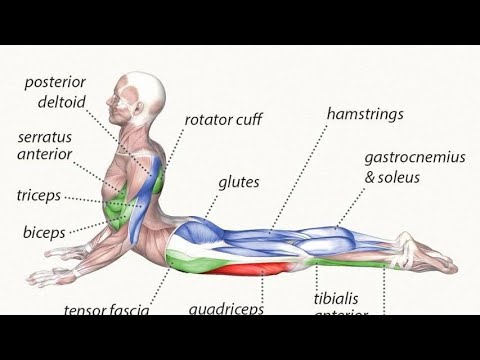 sesión de Yoga para Tod@s Matt Martes , 01/10/2019, les coves de vinromà, Castellón chi kung en cdmx