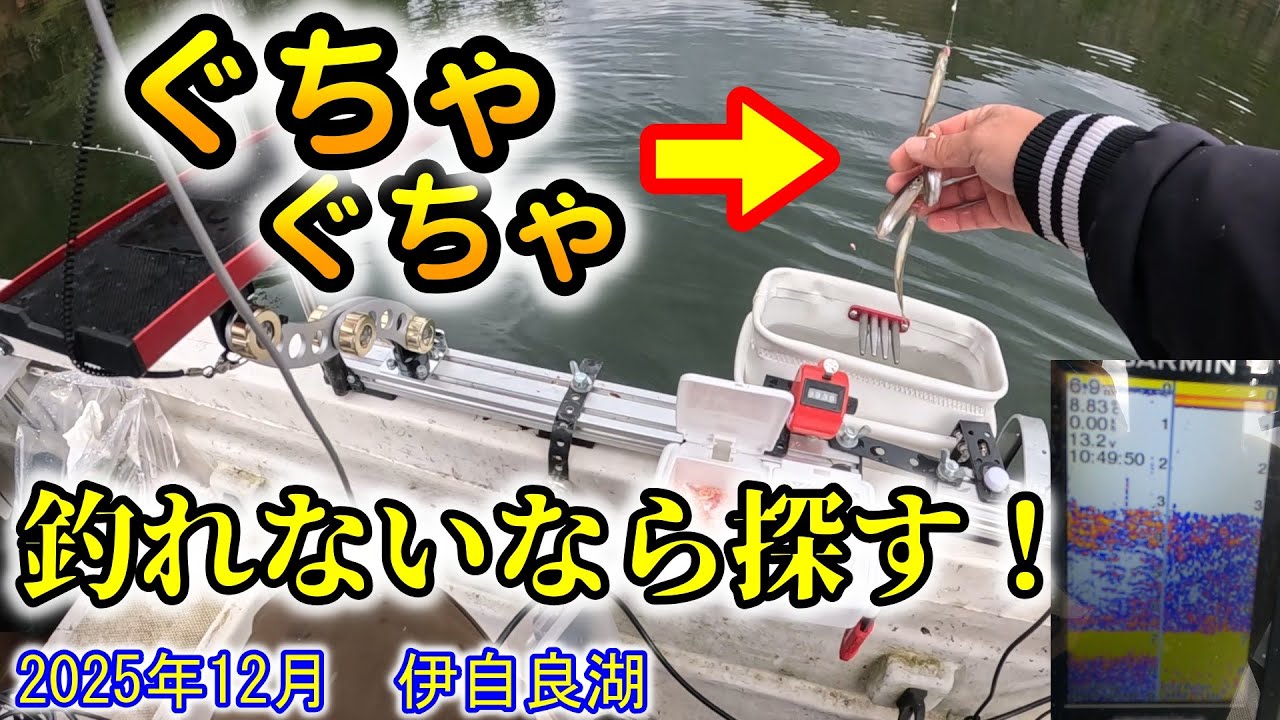 渋も探せば群れに当たる！！ここに居たのか！