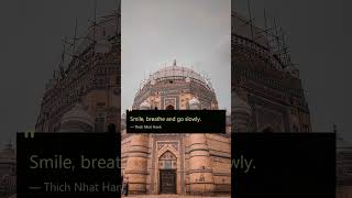 Hagia Sophia Mosque | Thich Nhat Hanh #Shorts