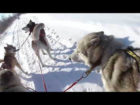 Видео: 26.02.23 Новый Мир