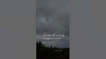 أَفَلَا يَنظُرُونَ إِلَى الْإِبِلِ كَيْفَ خُلِقَتْ #القارئ #عبد_الرحمن_مسعد
