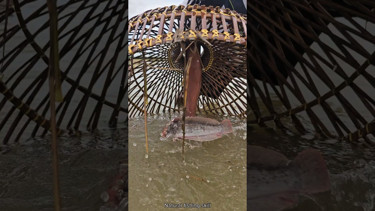 Unique and best bamboo tools Polo fishing ||😱👋(part-02)