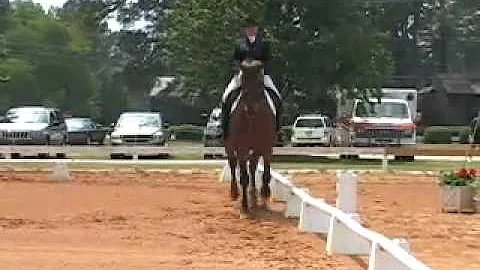 Vicki Kelley riding I1 on Imported Bavarian Warmbl...