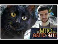 Il mito del gatto nero