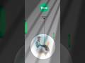 Fiverr Beginners | Must Watch #fiverr #shortsfeed #viral