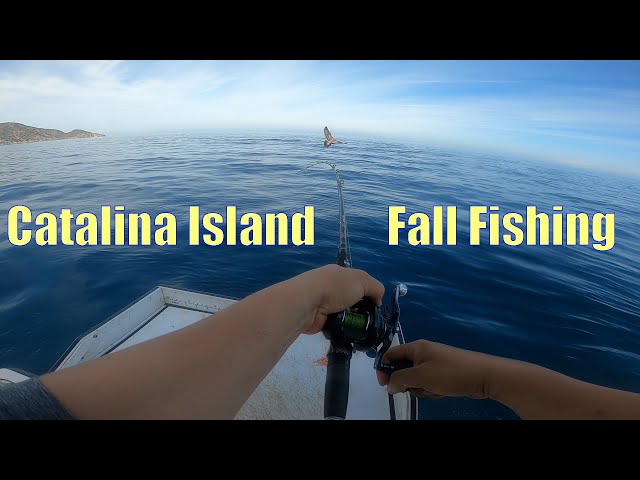 catalina express fishing poles LEAHKLEA ISLAND CHARTER- DEPOSIT ONLY Rogezac Sportfishing Dark Sleeper 4.5 Cookai