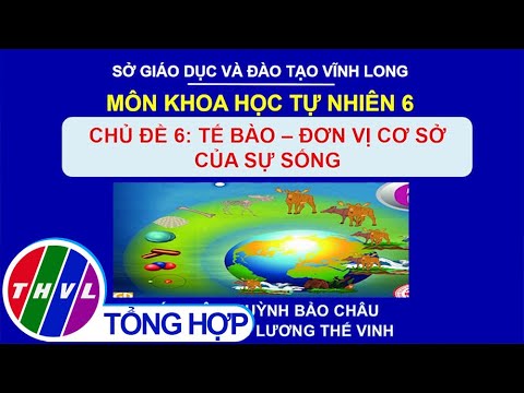 Video Dạy học trên truyền hình: Khoa học tự nhiên 6 - Chủ đề... - YouTube