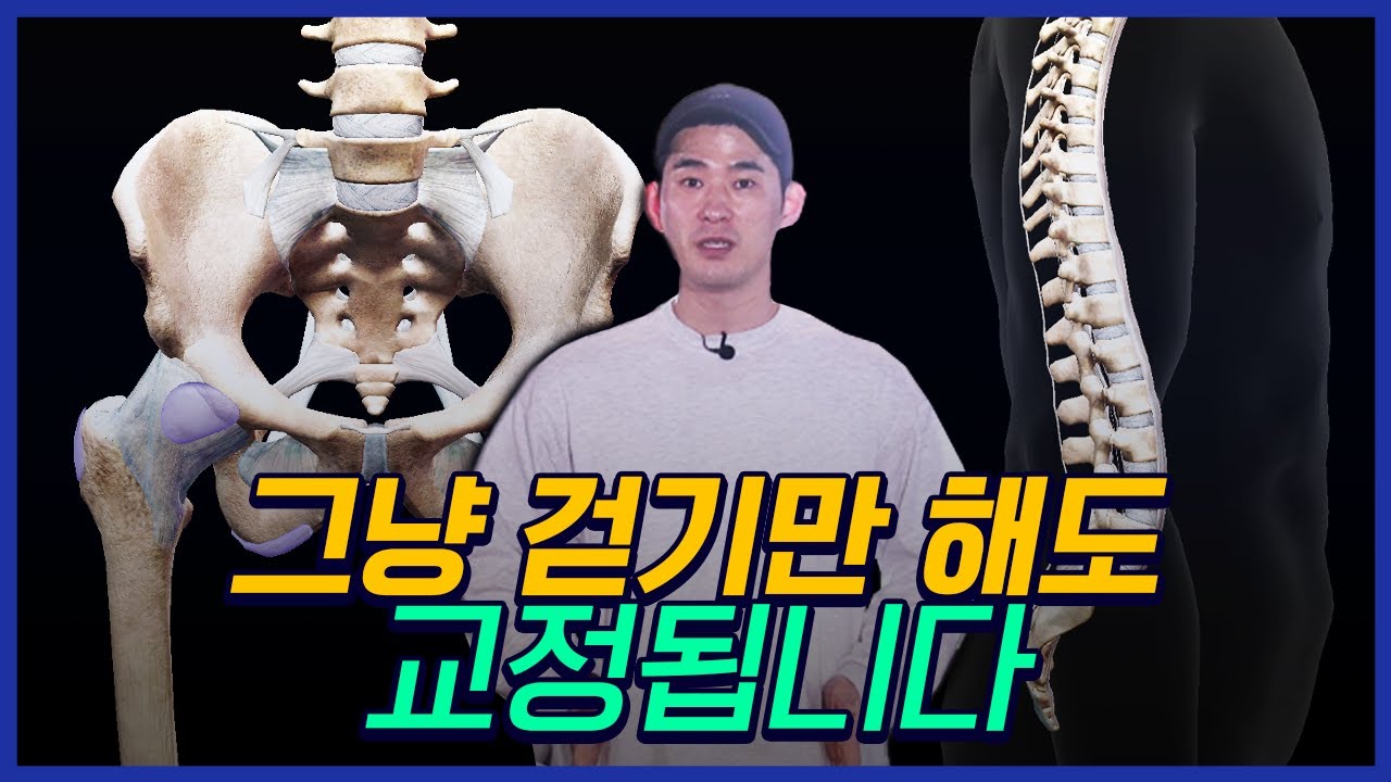 와..틀어진 골반과 척추 간단하게 집에서 화장실갈때 교정하세요 | 어디서든 그냥 다 됩니다