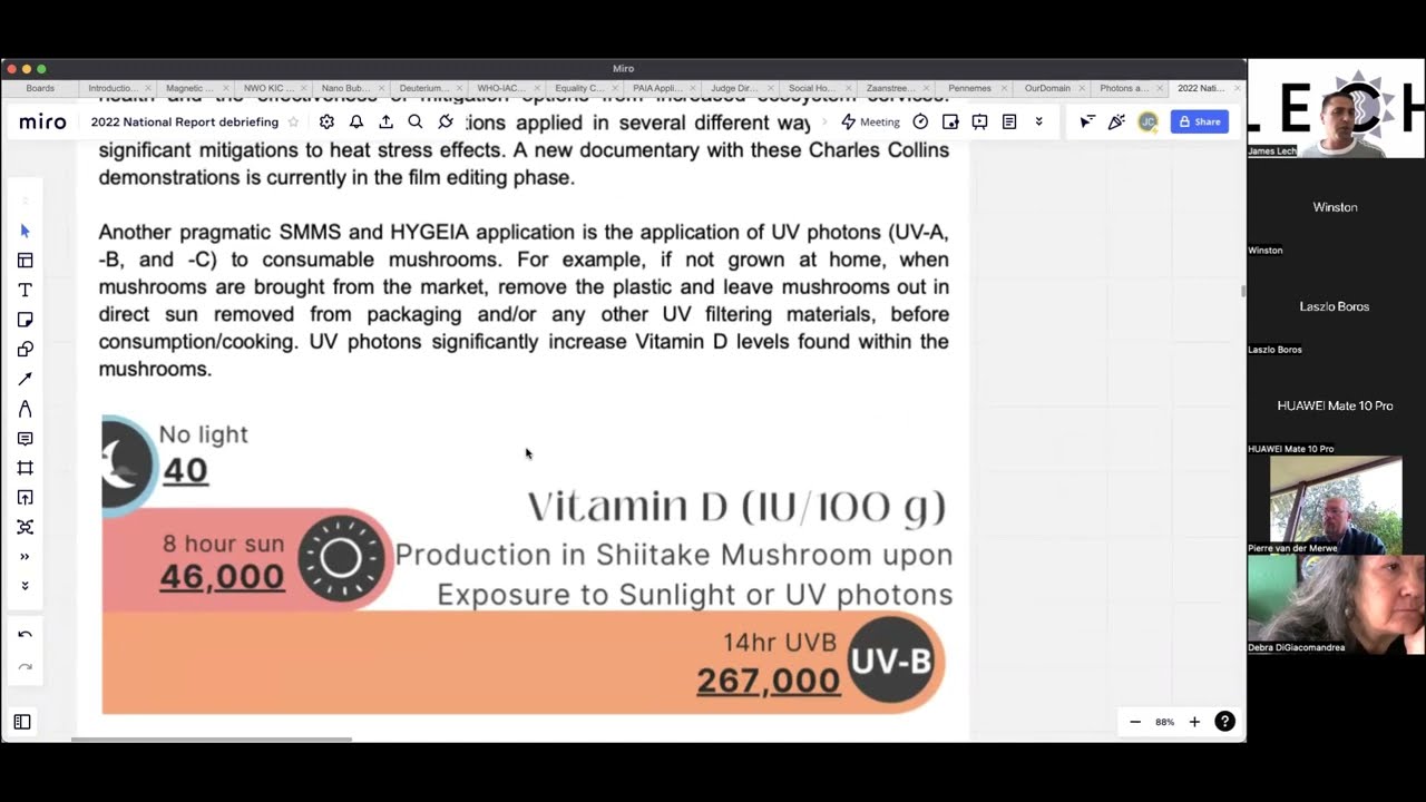 South African National WHO EMF Report 2022 Debriefing inar Part 2