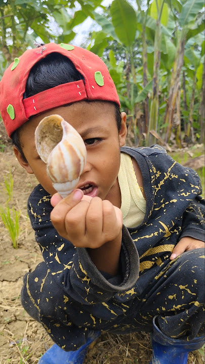 Finding poisonous snails