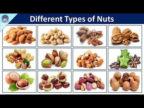 Different Types Of Nuts Types Of Nuts Nuts Vocabulary In English Hqdefault