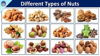Different types of nuts | Types of Nuts | Nuts Vocabulary in English | 50 - Types Of Nuts | Nuts
