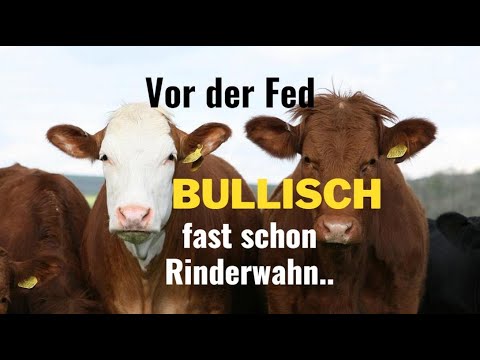 Vor der Fed: Bullisches Setup im Bärenmarkt! Marktgeflüster