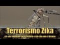 Terrorismo Zika - ciò che vogliono farci credere e ciò che non ci dicono