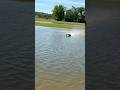 One final SEND across the Joe Nall 3D pond with the ARRMA KRATON 6S!