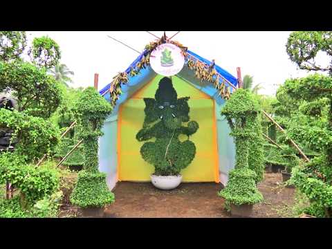 Two Years of Hard Work - Nursery Farmer Crafts 'Lord Ganesha' with a Rare Plant