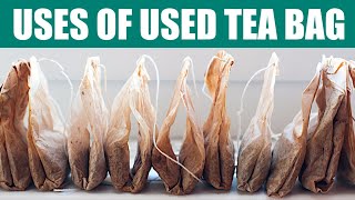 11 Creative Ways to Use Used Tea Bags