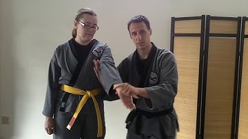 Foundations of Sinmoo Hapkido: Episode 25 - Live Hand