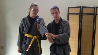 Foundations of Sinmoo Hapkido: Episode 25 - Live Hand